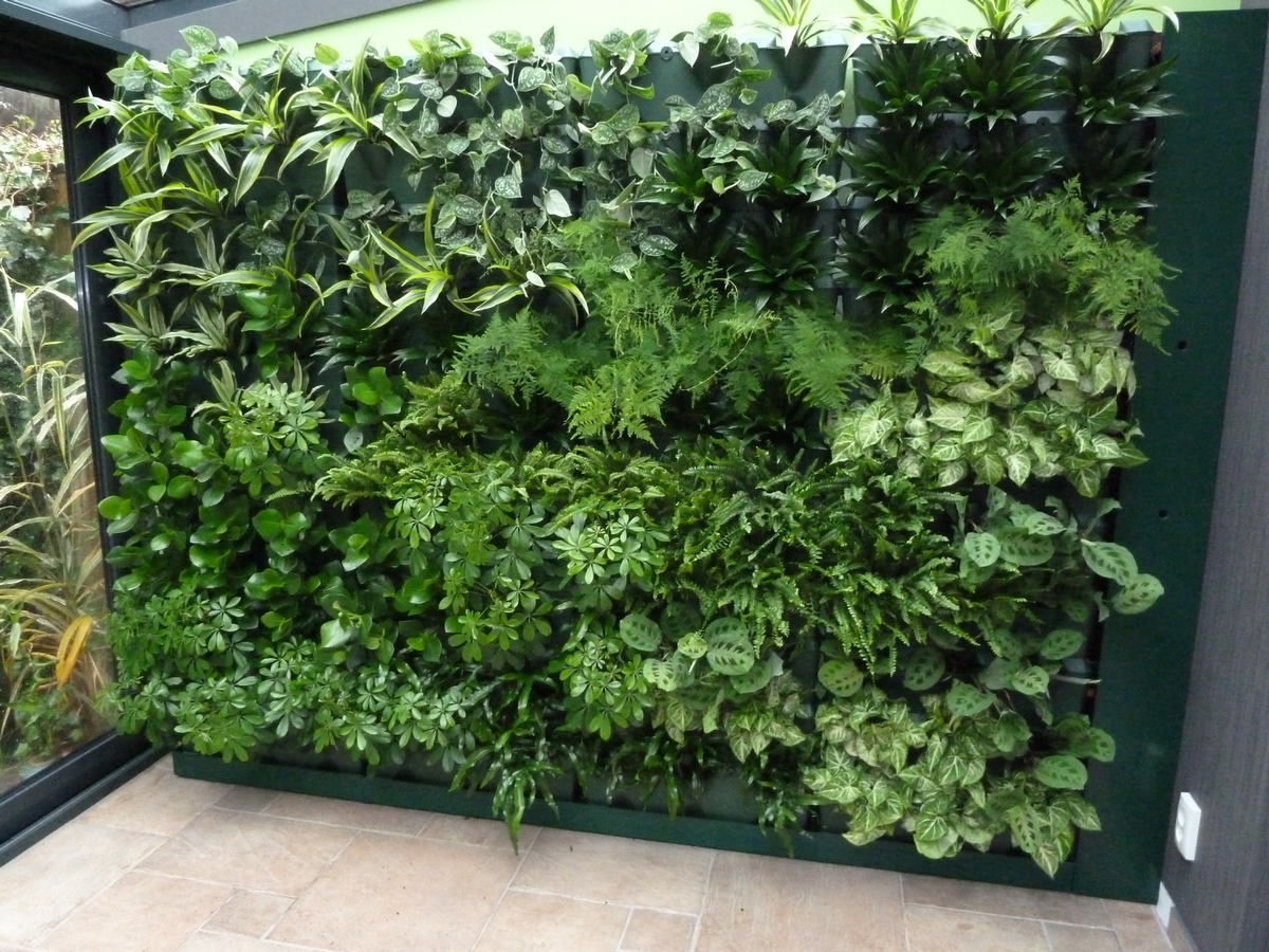 Zelené stěny
