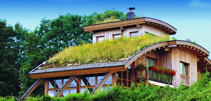 Zelené střechy